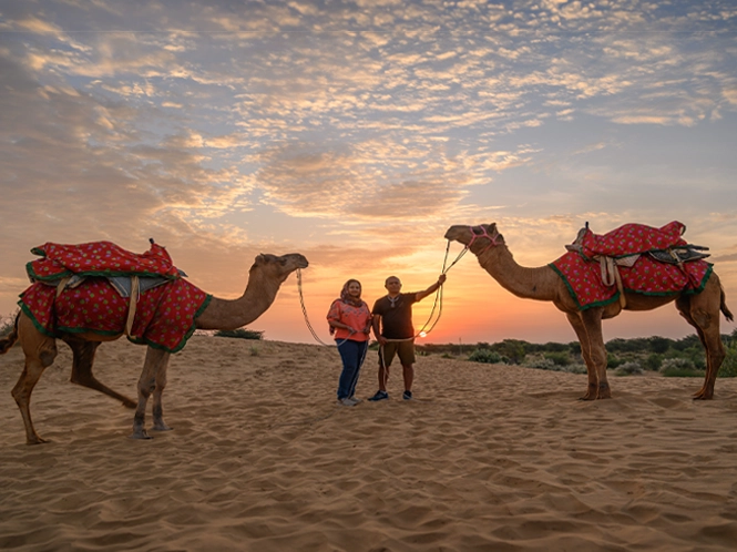 Camel Sunset Safari